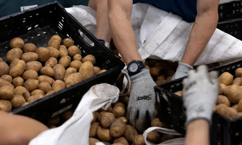 SNAP recipients feel 'betrayed' and 'judged' amid government shutdown cuts