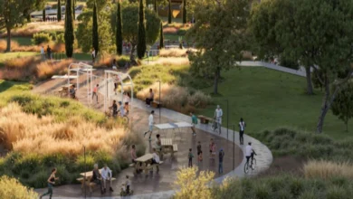 STADIO DELLA ROMA Il Consiglio di Stato respinge il ricorso dei Comitati del ‘no’ sul taglio degli alberi