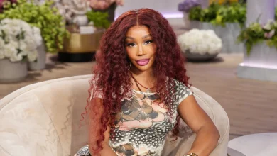 SZA Responds to Criticism Over Drake Collab Performance on Kendrick Lamar Tour