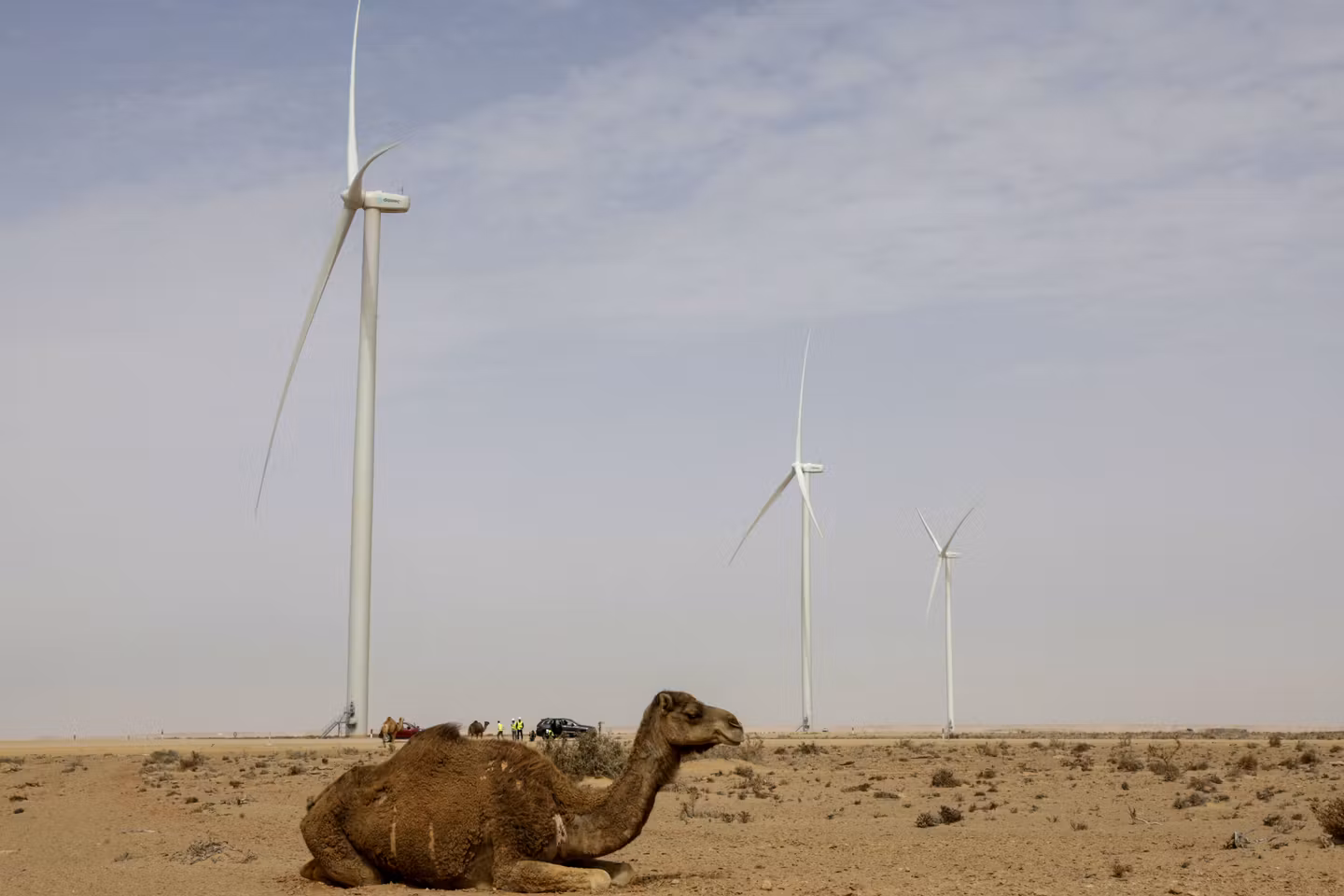 Sahara occidental : le Maroc obtient une victoire diplomatique à l’ONU