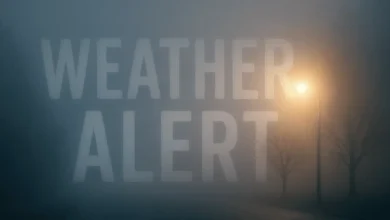 San Antonio, TX Weather Alert: Foggy Start Today as Thanksgiving Travel Begins to Ramp Up