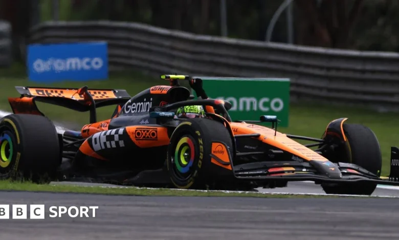 Sao Paulo Grand Prix result: Lando Norris wins with Max Verstappen third after starting in pits