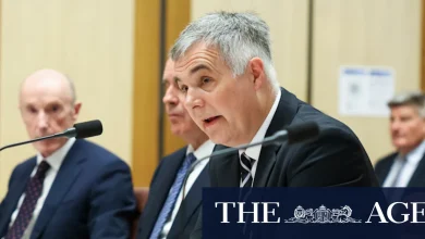 Savaged Optus boss faces claims of misleading Senate