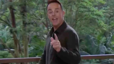 Scathing Ant McPartlin slams I'm A Celebrity stars as 'a bunch of idiots'
