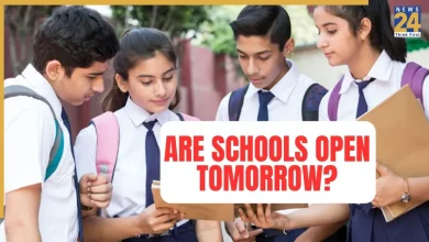 School Holiday, November 11: Are Schools Open or Closed Tomorrow? Schools to Remain Closed in THESE States due to Election, Severe AQI, and Rains
