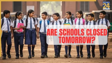 School Holiday Thursday, November 6: Are Schools Open or Closed Tomorrow? Schools to Remain Shut in Bihar and THESE States Due to Elections, Mela, Rain