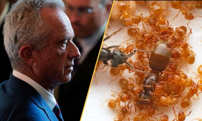 Science news this week: The CDC in turmoil, NASA releases anticipated 3I/ATLAS images, and how to thwart an insect apocalypse