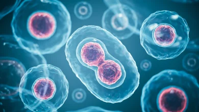 Scientists discover new way to shape what a stem cell becomes