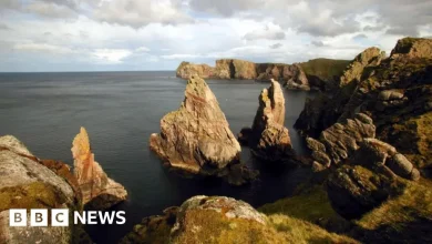 Search stood down for missing Royal Navy crew member