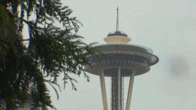 Seattle's Thanksgiving weather records: a cornucopia of cold, gusts, and a feast of rain