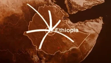 Securing sea access vital for Ethiopia’s economy, security, and regional cooperation – MFA official