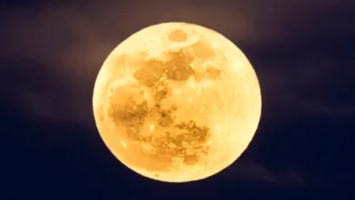 See the Super Beaver Moon rise tonight. Here are 6 ways to enjoy the lunar spectacle