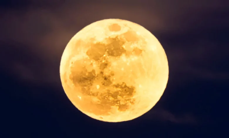 See the Super Beaver Moon rise tonight. Here are 6 ways to enjoy the lunar spectacle