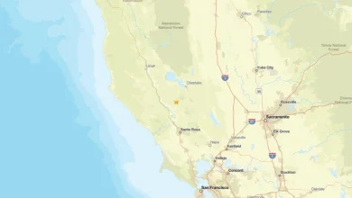 Seismic activity on Nov. 16: Earthquake near The Geysers, CA registered - magnitude 2.0