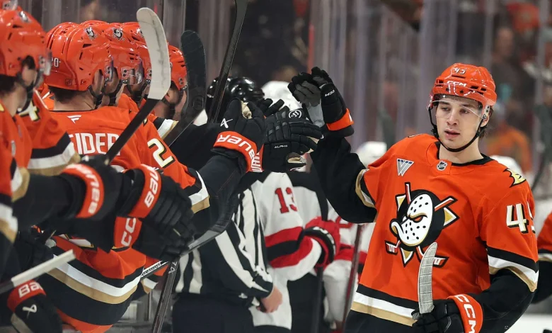 Sennecke roofs game opener