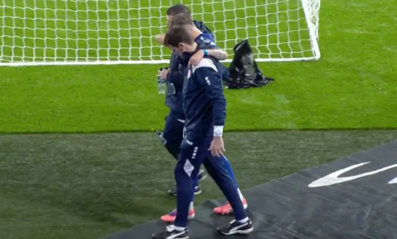 Serbia star Ivan Ilic suffers nasty injury in England clash as ITV refuse to show replay