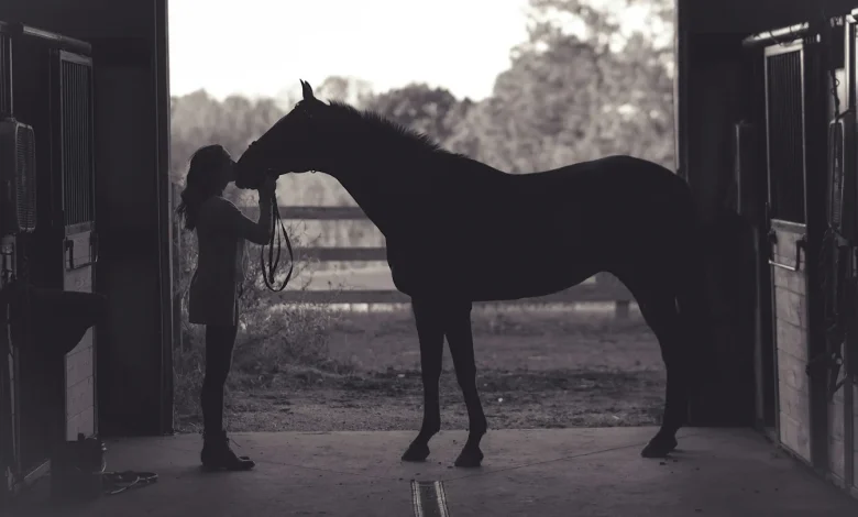 Serious EHV-1 Outbreak Causing Deaths Among Horses Linked to Waco, Texas Event