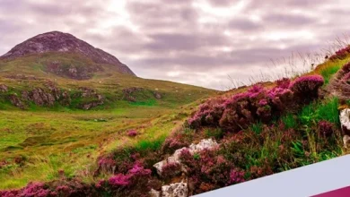 Seven biodiversity projects in Donegal allocated over €97,000