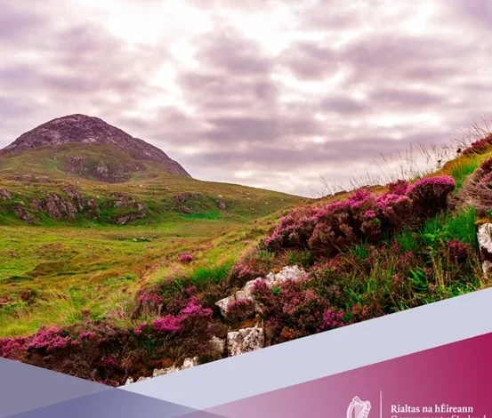Seven biodiversity projects in Donegal allocated over €97,000