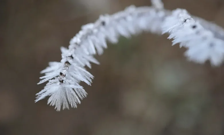 Severe weather, tornadoes possible in MS on Friday followed by widespread freeze next week