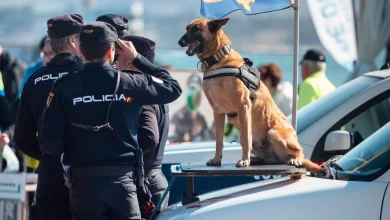 Sex Trafficking of Children from the Canary Islands: International Network Exposed