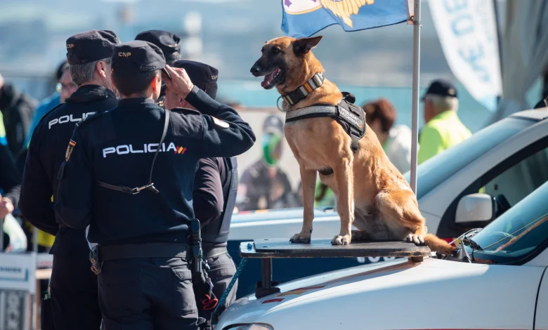 Sex Trafficking of Children from the Canary Islands: International Network Exposed