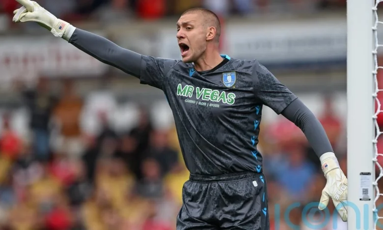 Sheffield Wednesday frustrate West Brom to end losing run