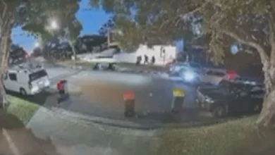 Shock CCTV shows moment man is snatched off the street in Sydney