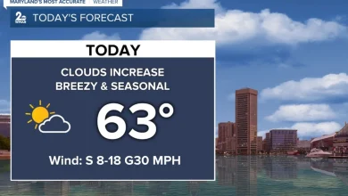 Showers return to the area this evening