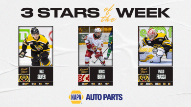 Silver, Borin, Frasca name NAPA Auto Parts 3 Stars of the Week