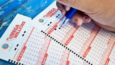 Single ticket sold in Georgia captures $980M Mega Millions jackpot