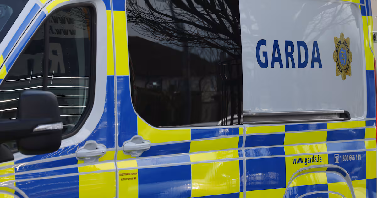 Sinn Féin expels member whose partner was arrested in far-right terrorism inquiry