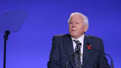 Sir David Attenborough diet choice he credits to long life at 99