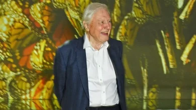 Sir David Attenborough's diet change he credits for long life