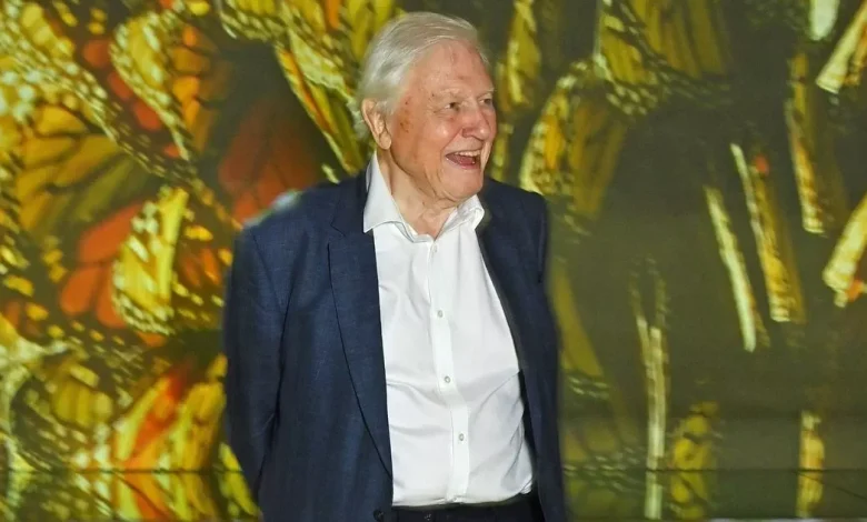 Sir David Attenborough's diet change he credits for long life