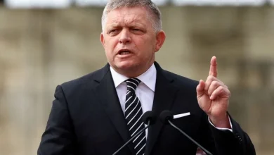 Slovak PM Fico Asks NATO to Strengthen Slovakia's Air Defences