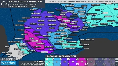 Snow Squalls Take Aim at London, Barrie and Northern GTA on Sunday With Up to 25-50cm of Snow Possible
