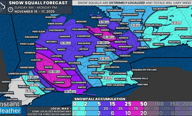 Snow Squalls Take Aim at London, Barrie and Northern GTA on Sunday With Up to 25-50cm of Snow Possible