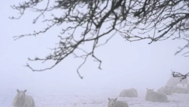 Snow and ice warning issued for five counties