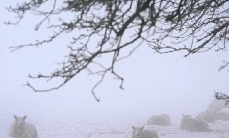 Snow and ice warning issued for five counties