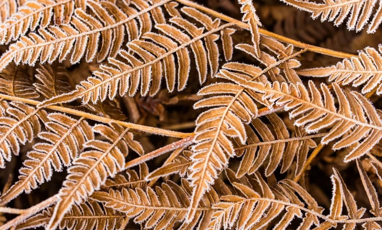 Snow and ice warnings remain before a change this weekend