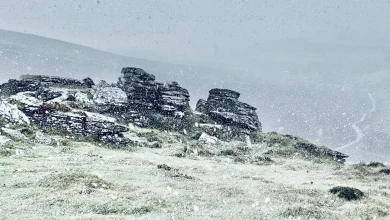 Snow has arrived in Devon - and here's where it's coming next