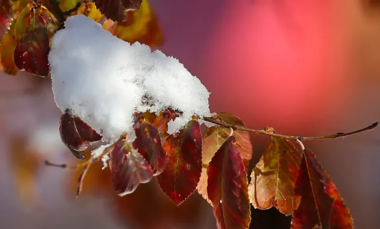 Snow joke. Snow is in Akron-Canton weather forecast. When will the flakes start flying?