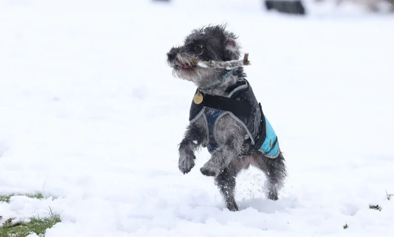 Snow maps show which counties could get snow in just weeks - full list