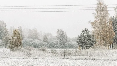 Snow squall watch issued for parts of Ontario