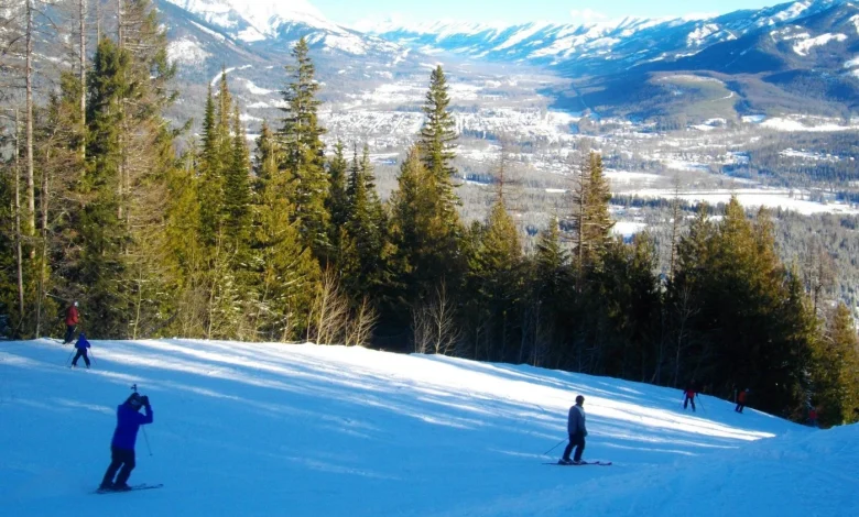 Snowfall warning issued for southeastern B.C. as weekend rain hits south coast