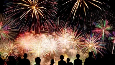 South London fireworks display attended by thousands going ahead after reassuring residents