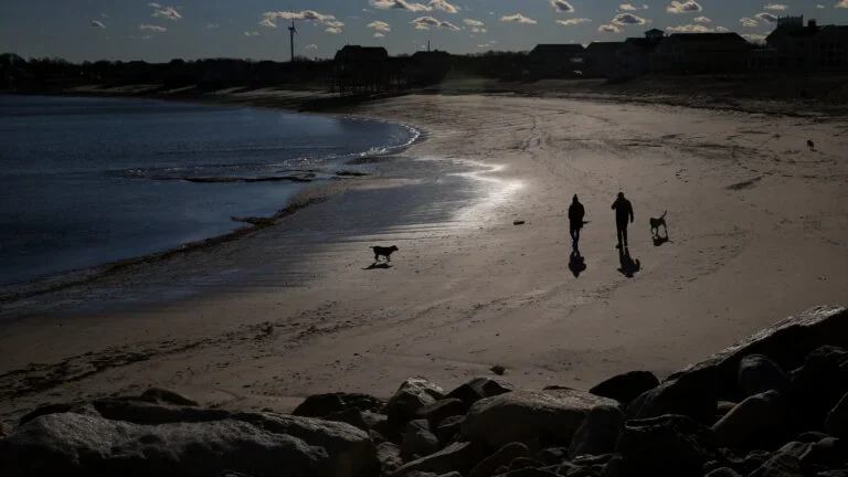 South Shore officer takes to the sea in a kayak to rescue golden retriever from drowning