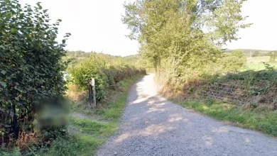 South Shropshire farm's plans to diversify campsite