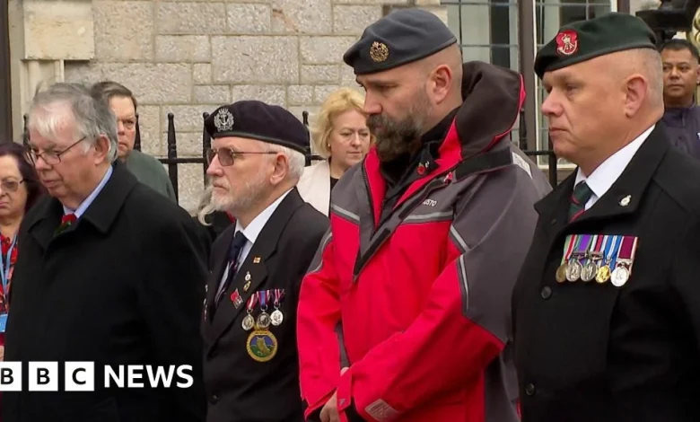 South West falls silent for Armistice Day ceremonies